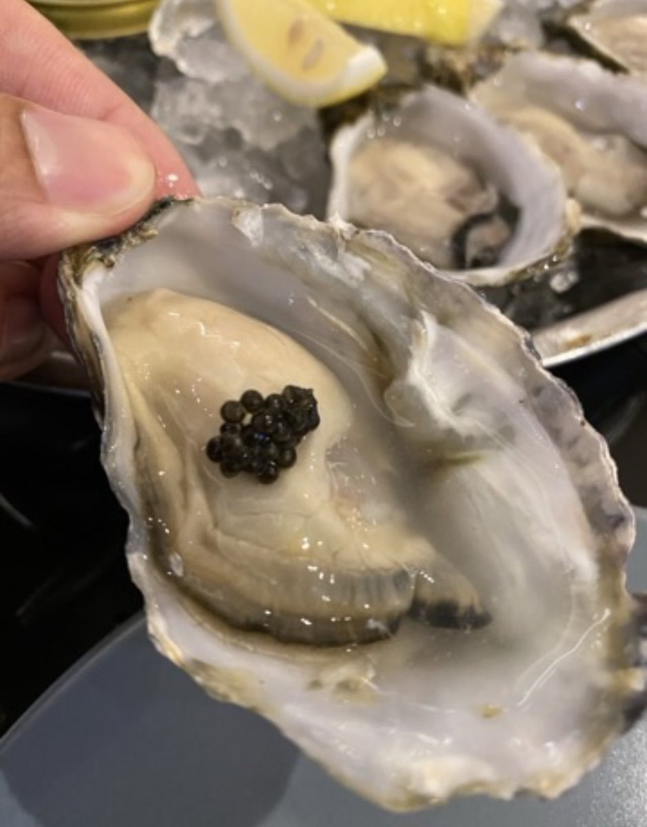 hepi on Twitter "RT paultantk come on guys. who the hell goes to