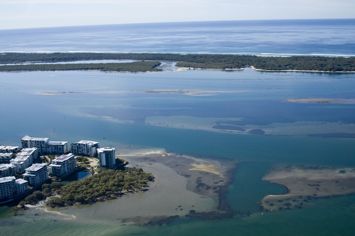 Qld_ScienceWeek tweet media