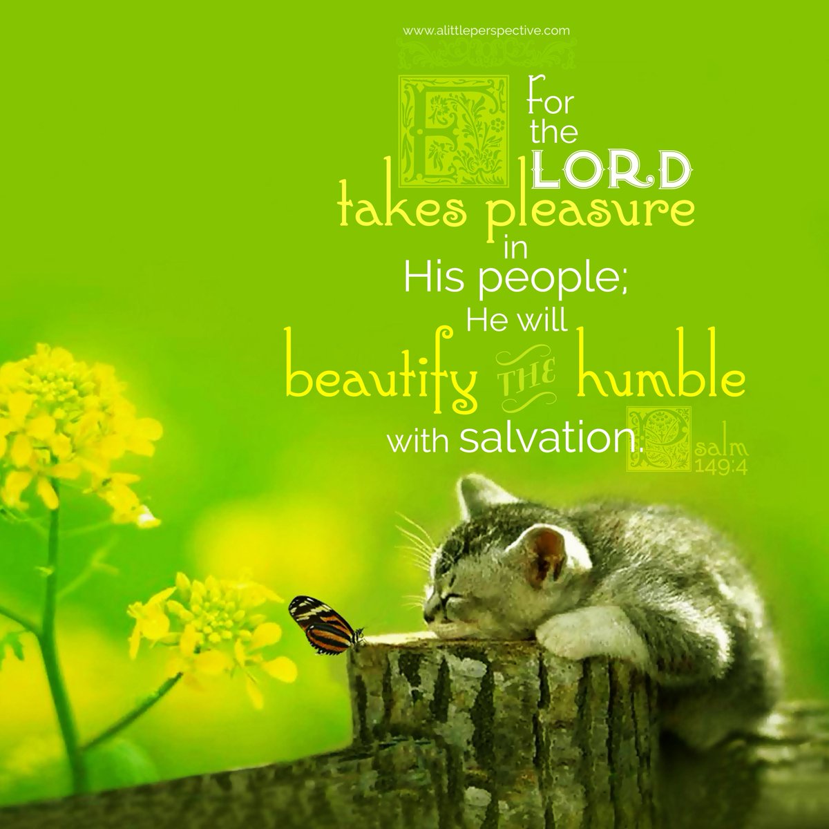 CraftKrz's tweet photo. Praise the Lord

Sing to the Lord a new song,
His praise in the assembly 
    of his faithful people.
Let Israel rejoice in their Maker;
Let the people of Zion
    be glad in their King. https://t.co/KYV0mhLMxc