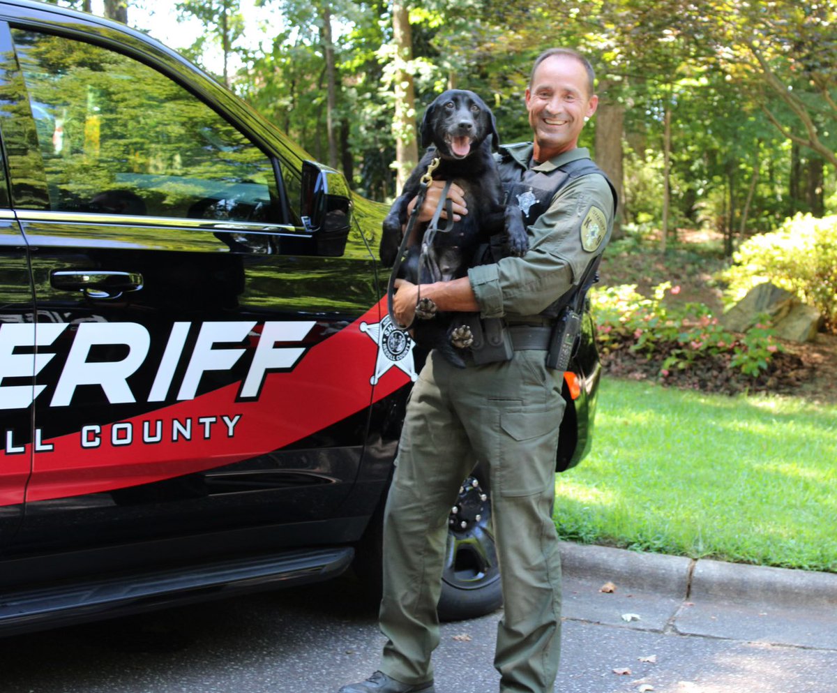 GarySim28429439's tweet photo. K9 Abby has been my partner since 2013! She turns 11 this October and we will retire together in February! #K9 #Team #detection https://t.co/MR2AC43rAX