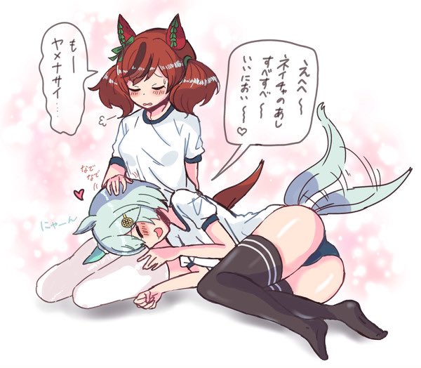 ネコスカイ、あやすネイチャ 
