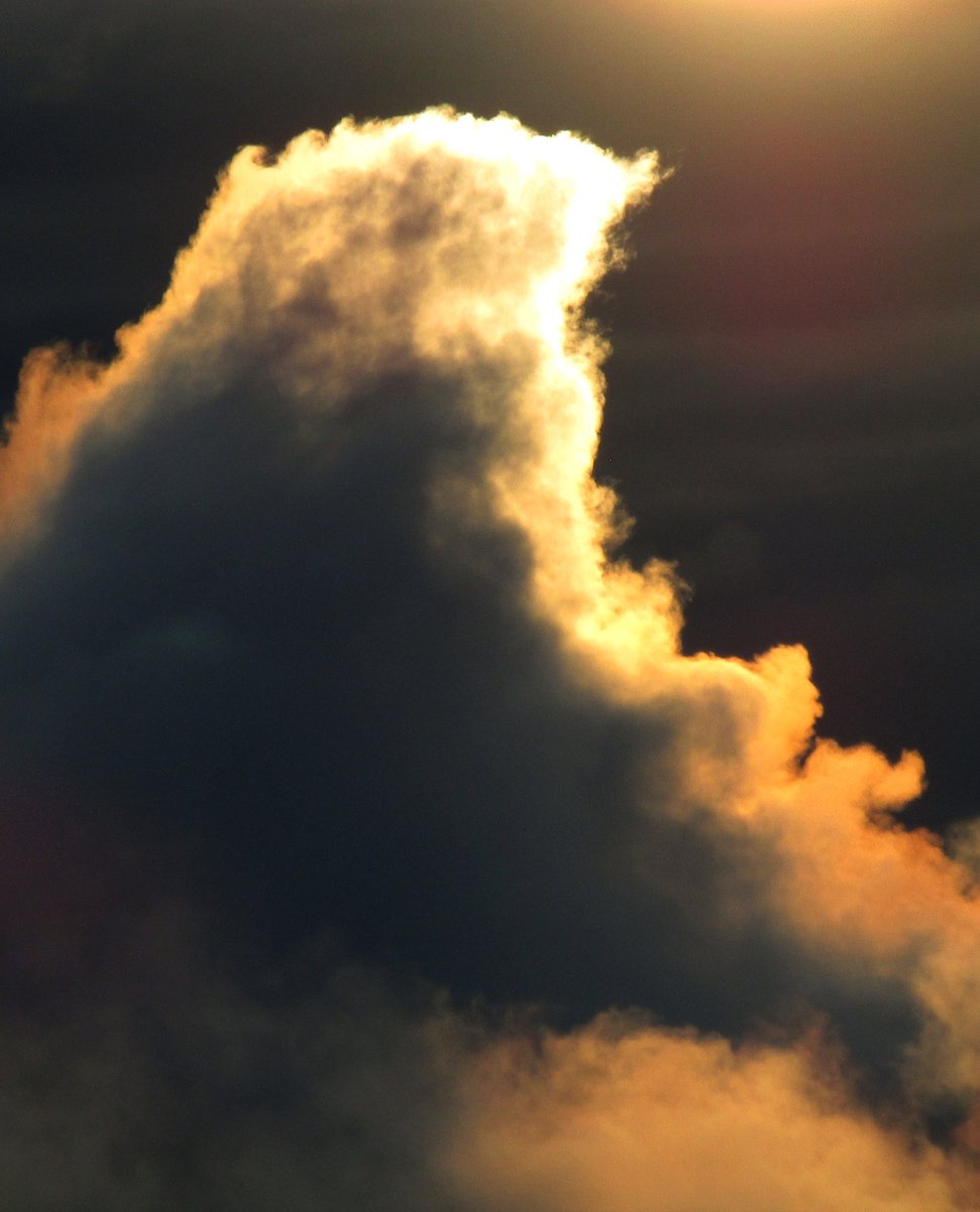 Carlos-Enrique Ruiz tweet media