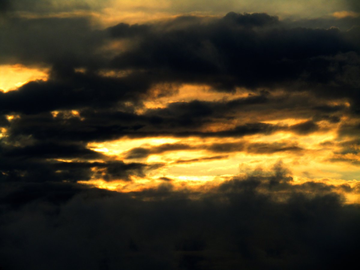 Carlos-Enrique Ruiz tweet media