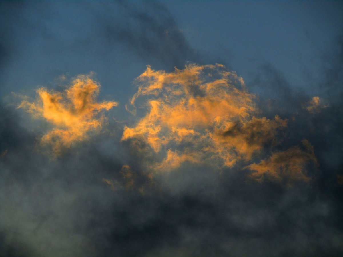 Carlos-Enrique Ruiz tweet media