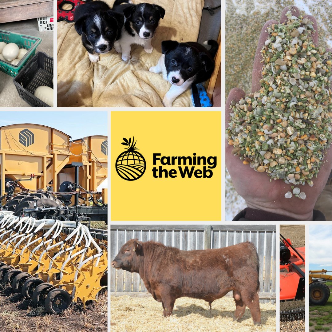 farmingtheweb's tweet photo. List your items today on Farming the Web! It's almost too easy! https://t.co/08SGcygudy #listnow #farmingtheweb #ForFarmersByFarmers #farminglife #forage #morethanjustfarming #itsourlife https://t.co/TXKZNuWyvV