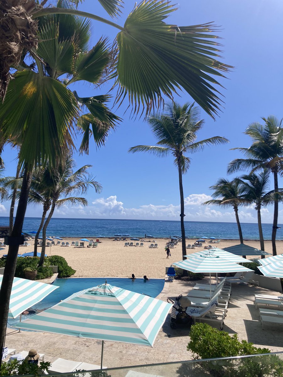 NaturallyMC's tweet photo. Puerto Rico is paradise 🌴 https://t.co/rmeYmGKJfI