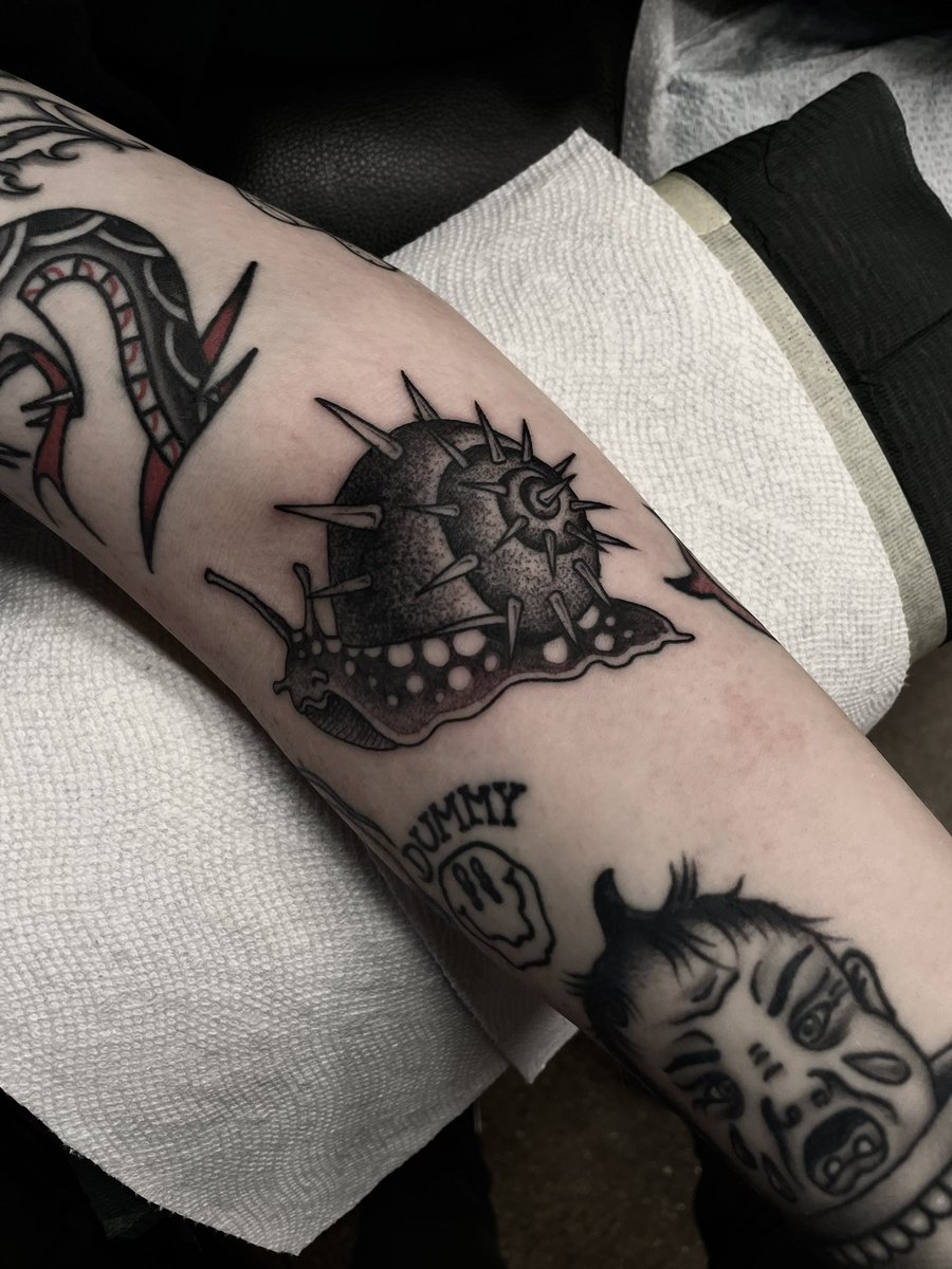 martinrangel_tx's tweet photo. Punk snail https://t.co/D0F9PoW77N
