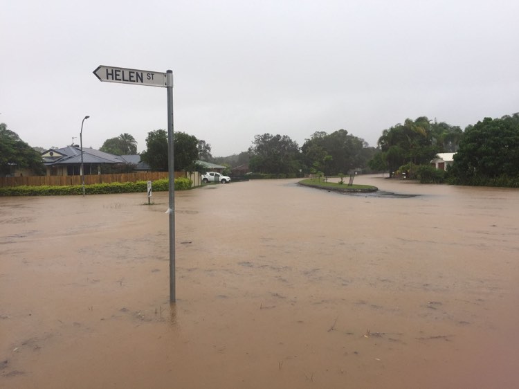 Qld_ScienceWeek tweet media
