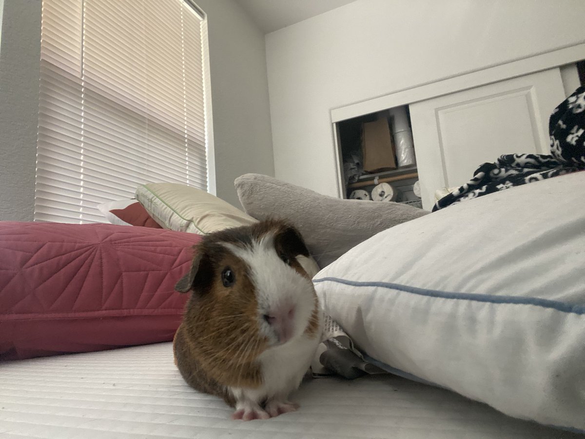 ashaapearl's tweet photo. look at himmm 😭 https://t.co/TkbVi8N2ku