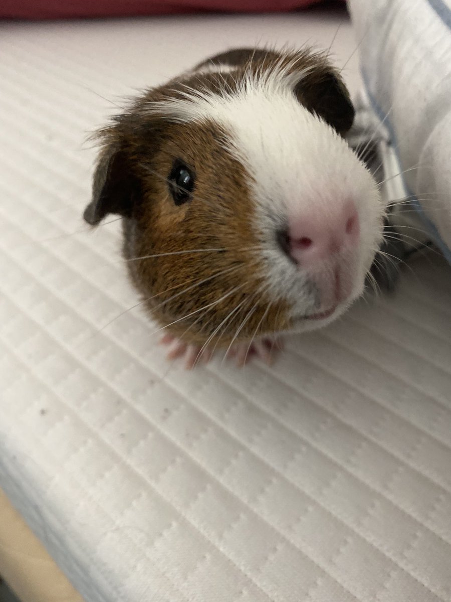 ashaapearl's tweet photo. look at himmm 😭 https://t.co/TkbVi8N2ku