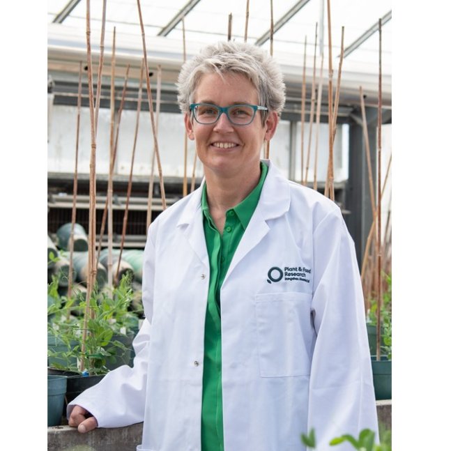 Bugologists's tweet photo. Congratulations to Jessica and Vaughn (and team) for their successfully funded @Plantandfood #Bioprotection #Blueskies projects on #Nitrogen Effect on the Infection Process of a vectored #BacterialPathogen &amp; Developing a #HarlequinLadybird Lure &amp; Kill https://t.co/uNFNsZuONB