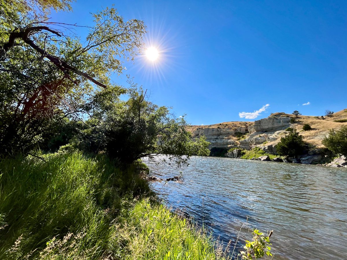 JasonKechely's tweet photo. One of my new favorite 'go to' spots on the #MadisonRiver. Currently trying to negotiate some arrangements with the horse flies and 'squitos...
#Cobblestone #BiteyFlies #MTSummer https://t.co/N6bHuFMwfQ