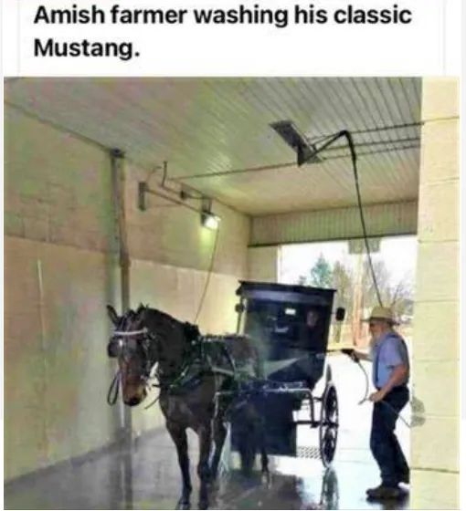 Nand076's tweet photo. #ItsReallyAwkwardWhen Asking For The Horse Power 🙃 https://t.co/mN34s55vcb
