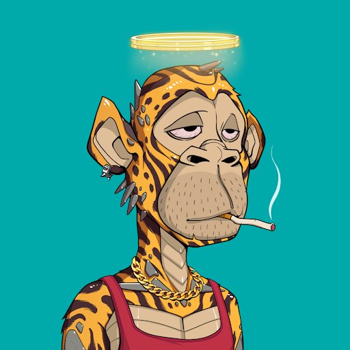 ASapphireWolf's tweet photo. #NewNFTProfilePic this is by far my favorite @0xApes_NFT that I own 👀🥰. I knew they would look good, but damn I had no idea 💀😍. 

#CheetahGang #Panthera #Cheetos4Life #HaloGang #YellowArmy https://t.co/hjQTPwPOcd