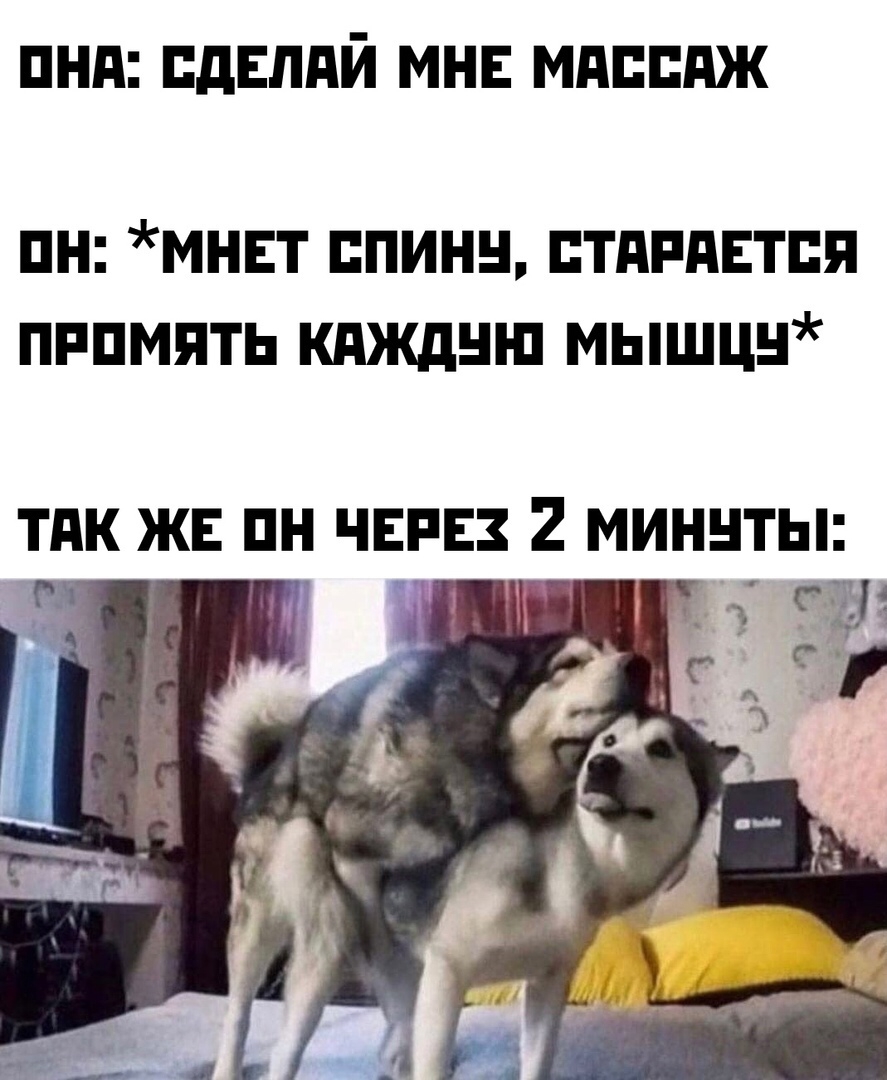YandexLapochka's tweet photo. 🕠 #вторник 😃 #шутки 😛 #мемы ♎ #взаимныйретвит 🧡 #rufollowme 🍒 #яндекстылапочка 1⃣0⃣0⃣ процентов подписка в ответ https://t.co/JeZYJBlQoN