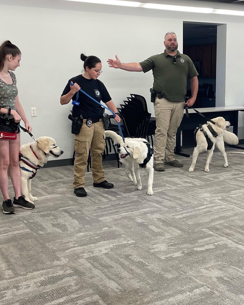 MAWLE1's tweet photo. We had a great first day at our #MAWLEandMe summer camp!  Comfort dogs, K9, Mounted Unit &amp; the BPD Crime Scene Unit were informative &amp; fun for all. 👏 #womeninblue https://t.co/DjSCNlvY9s