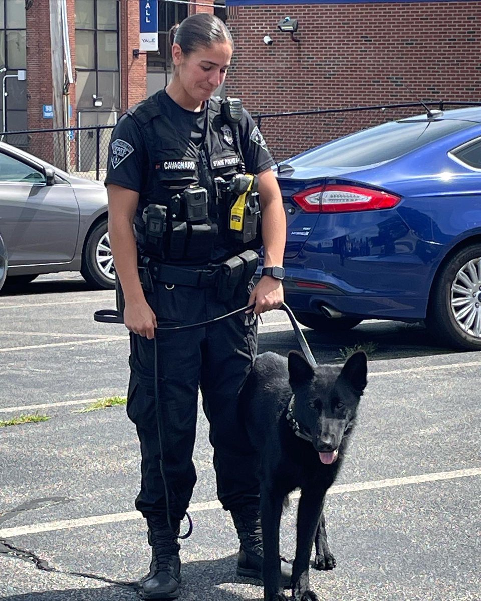 MAWLE1's tweet photo. We had a great first day at our #MAWLEandMe summer camp!  Comfort dogs, K9, Mounted Unit &amp; the BPD Crime Scene Unit were informative &amp; fun for all. 👏 #womeninblue https://t.co/DjSCNlvY9s