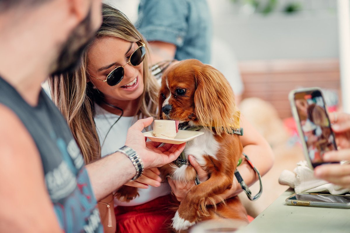 OzDogLover's tweet photo. #PoundPaws will celebrate #WorldDogDay ๐ถ๐on August 28 with the ultimate party in Sydney's #DoubleBay held at #TheSheaf's #dogfriendly beer garden.
With live entertainment, stalls, adoptable #dogs from #rescue groups, red carpet arrival, competitions...
https://t.co/yxNBYBk48x https://t.co/N6oL7I3Gvl
