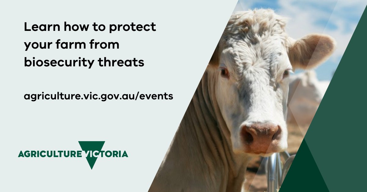 Biosecurity and livestock traceability webinars and workshops are coming to a town or screen near you.

Visit: agriculture.vic.gov.au/events 

@vfflivestock @VFF_UDV <a href="/vffStockSense/">VFF Stock Sense</a> <a href="/Dairy_Australia/">Dairy Australia</a> <a href="/animalhealthAUS/">Animal Health Australia</a> <a href="/meatlivestock/">Meat & Livestock Australia</a> <a href="/woolinnovation/">Australian Wool Innovation</a> <a href="/BCG_Birchip/">Birchip Cropping Group (BCG)</a> <a href="/theGRDC/">GRDC</a>