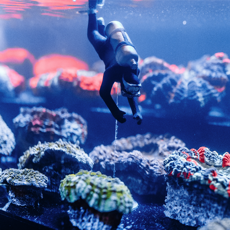 reefbuilders's tweet photo. Still basking in the glow from ReefStock Australia π
.
.
.
.
.
#reefstock #reefstockdenver #reefstockaustralia #reefbuilders #reefbuildersstudio #reeftherapy #reefreality #reefkeeper #reefhobbyist #reef #coralreef https://t.co/IVEXfLDAr1