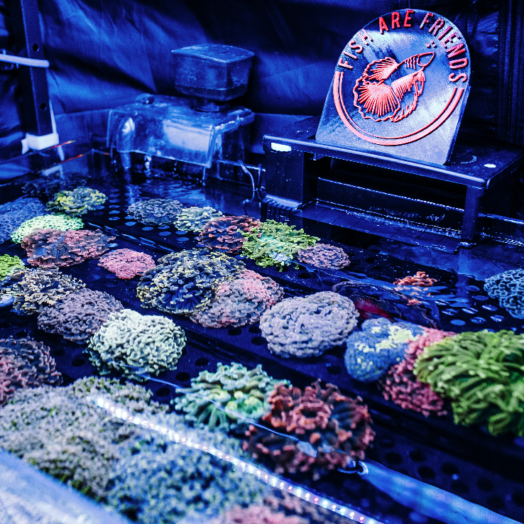 reefbuilders's tweet photo. Still basking in the glow from ReefStock Australia π
.
.
.
.
.
#reefstock #reefstockdenver #reefstockaustralia #reefbuilders #reefbuildersstudio #reeftherapy #reefreality #reefkeeper #reefhobbyist #reef #coralreef https://t.co/IVEXfLDAr1