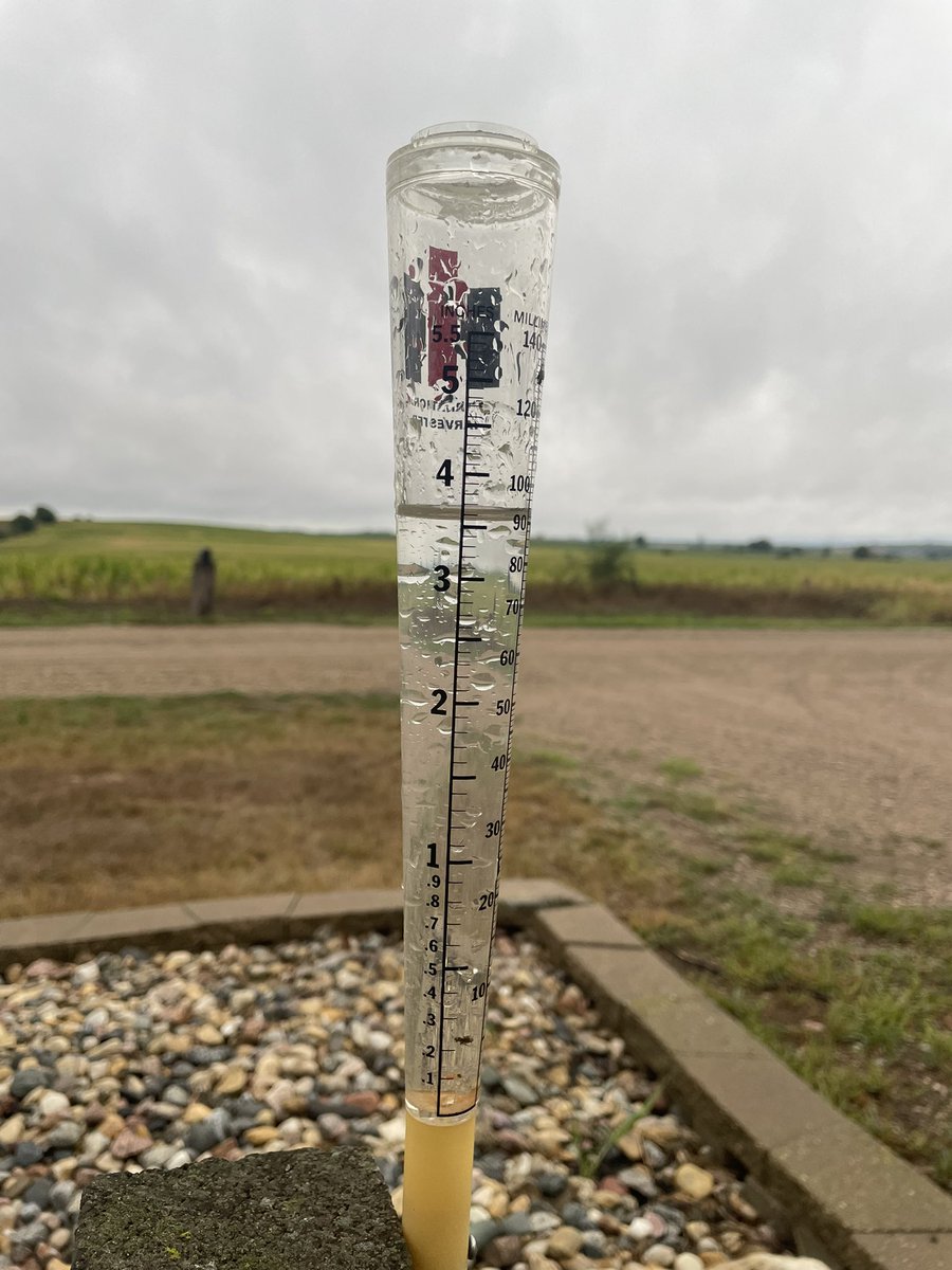 EhrinNelson's tweet photo. The most rain we’ve had at one time in probably 2 years and there’s one puddle in the driveway… it’s a month late and far from a drought buster but we’ll take it https://t.co/Cmf4DXD7cg