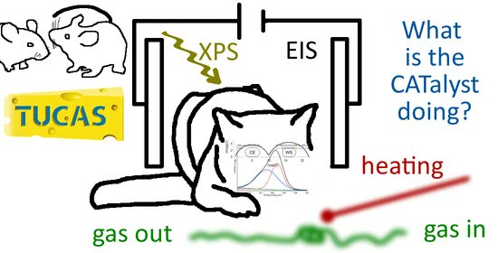 #Highly_cited 
"Novel Sample-Stage for Combined Near Ambient Pressure X-ray Photoelectron Spectroscopy, #Catalytic Characterization and #ElectrochemicalImpedanceSpectroscopy" by Christoph Rameshan. <a href="/echem_tuwien/">echem_tuwien</a> <a href="/TUCAS13/">TUCAS</a> 

👉You can read it here:mdpi.com/2073-4352/10/1…