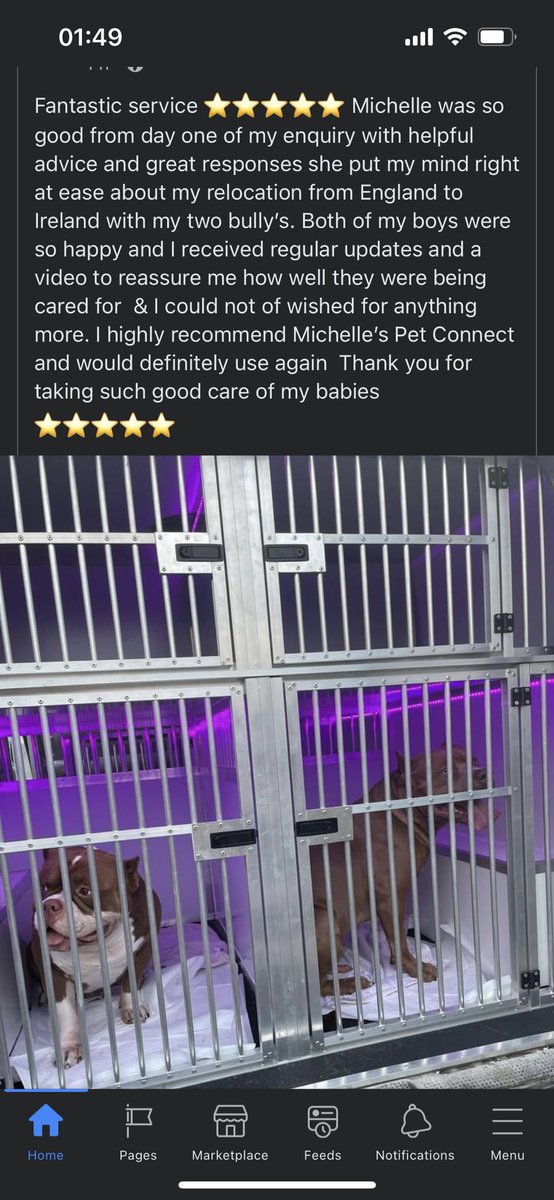 MPetConnect's tweet photo. Lovely review 🥰🥰 #pettravel https://t.co/FYX2H7Whqr