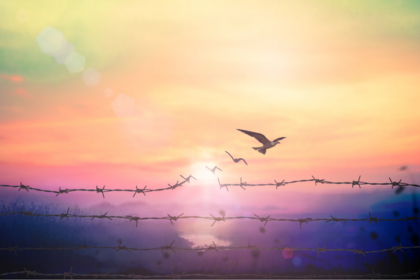 Invitation: Breaking Free from Psychotherapy's Hourly Pay Prison youtu.be/zzqAeT1vUCM via <a href="/YouTube/">YouTube</a>