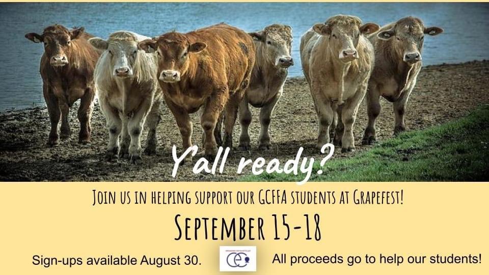 Friends of GCFFA (@gcffafriends) on Twitter photo 