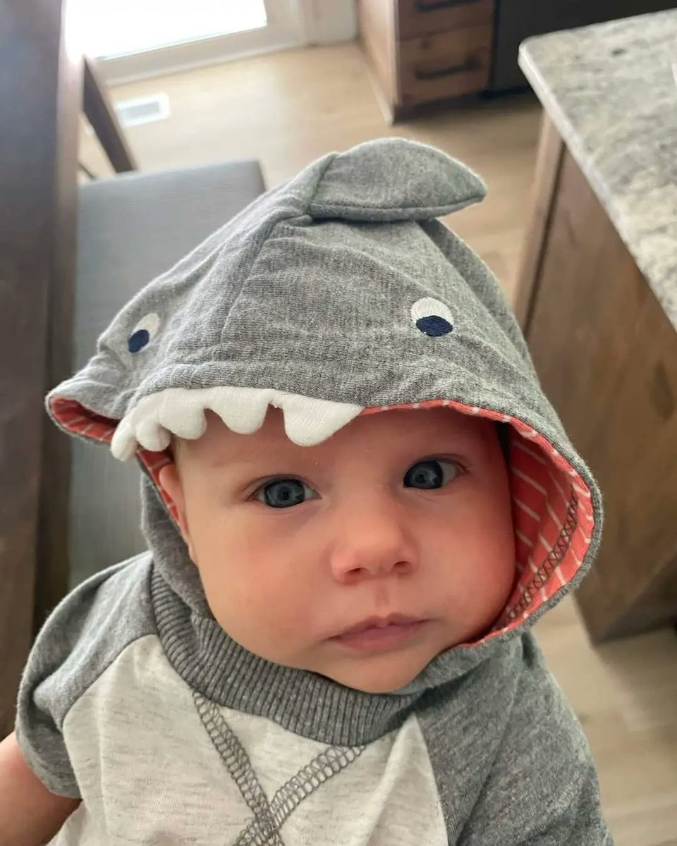 NORCOVolley's tweet photo. In case your Monday was in need a cuteness overload! Baby Luke and Eliliott may be the cutest babies EVER!

#NORCO #NORCOVolleyball #volleyballclinic #sportsclinic #volleyballtraining #volleyballattack #volleyballblock #attackingclinic #blockingclinic #volleyballtraining https://t.co/A9BqAGpB0g
