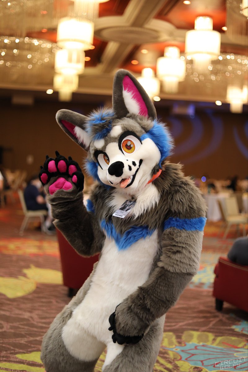 CircuitWolfy's tweet image. It’s @fosnak_!
 
The way he moves around was so cute!
 
📍 #BLFC #BLFC22 #BLFC2022