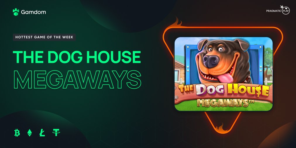 TheDoctorGamble's tweet photo. Bonus Buy #Giveaway on dog house megaways! 🐶👀

5 winners: 500$ BONUS BUY EACH 20%!

Rules: 👇
1️⃣ Tag a Friend 
2️⃣ Super confirmed in discord
3️⃣ Like, Follow &amp; Retweet

MUST BE UNDER MY CODE - thedoctor  

19th friday August Drawn!

https://t.co/OfVwXk4UvG 

Good luck! https://t.co/SW4ZwSiPO8