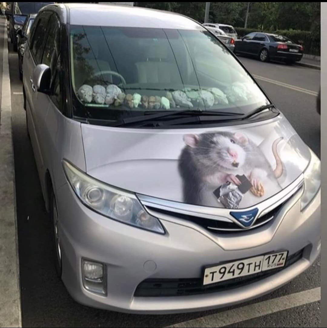 What do you think of my new "whip", eh?