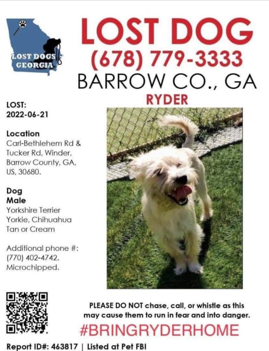 Please RT and help find Ryder🙏 Barrow County GA. Last seen on Carl- Bethlehem and Tucker Rd. Any sightings please call #678-779-3333 Do NOT chase! He is chipped. #barrowcounty #LostDog #Georgia