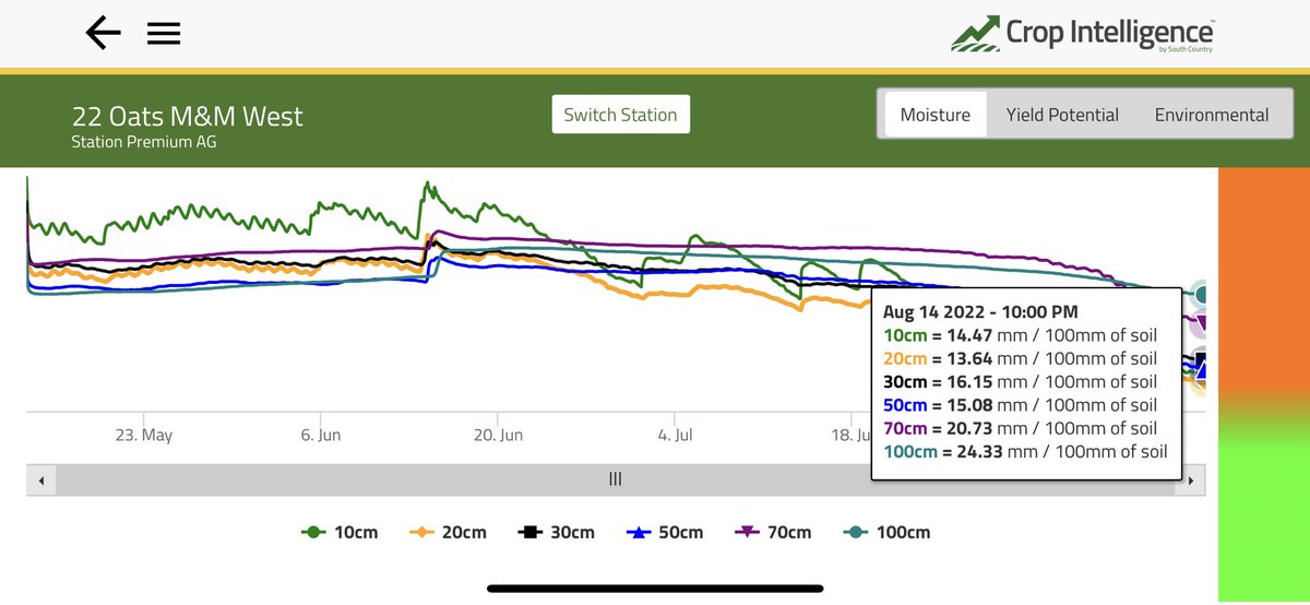 HobbyFarmerMatt's tweet photo. #arborg #oats pushed to the limit! Lodging in spots but that's ok by me. Should be less then a week of water left at 3-4mm/day through heat before the #irrigation acres really starts to turn. @CropIntel @PremiumAg @Stampseeds https://t.co/PGfYTQNJDC