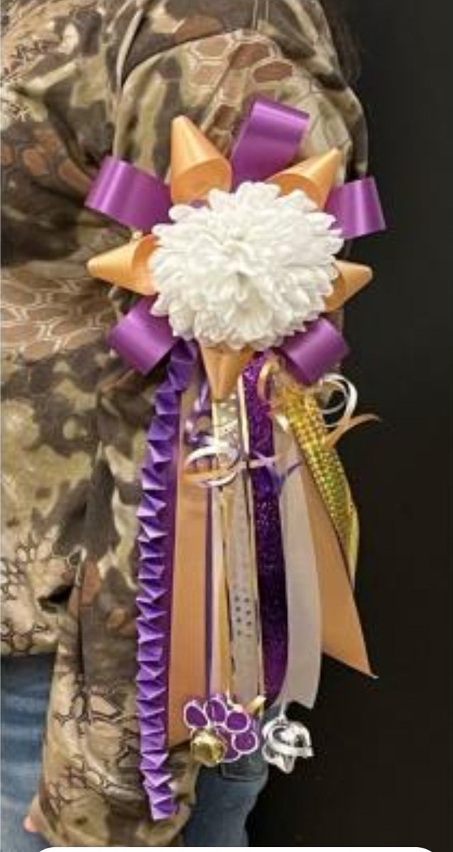 mjhsbears's tweet photo. MJH PTO Homecoming mum and garter fundraiser begins today!
***These are the only mums and garters sold and wore on campus*** https://t.co/palRp49DpW