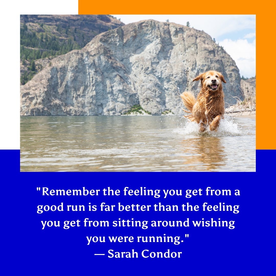 davejohnsoon11's tweet photo. How do you feel when you go on a run or a jog? Tell us below.
#goforarun #thefeeling #correctivestep #correctivestepfoothealthcenter #podiatristoregon #tigardpodiatrist #drisiorho #foothealth #followforfollow #foothealthmatters #podiatry #footdoctor #footdoc #quotefortheday https://t.co/JsVU0eg1S4