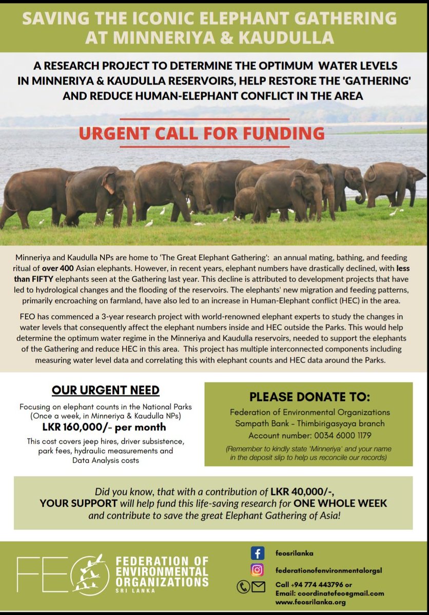 Namalkamalgoda's tweet photo. Want to save the "Gathering" in Minneriya and Kaudulla? You can help by funding the research so we can a science based solution to the decline in the Gathering

For those abroad you can help by contributing to the gofundme page. 

https://t.co/gf0AGfZeRa https://t.co/fAAwCWaOqS