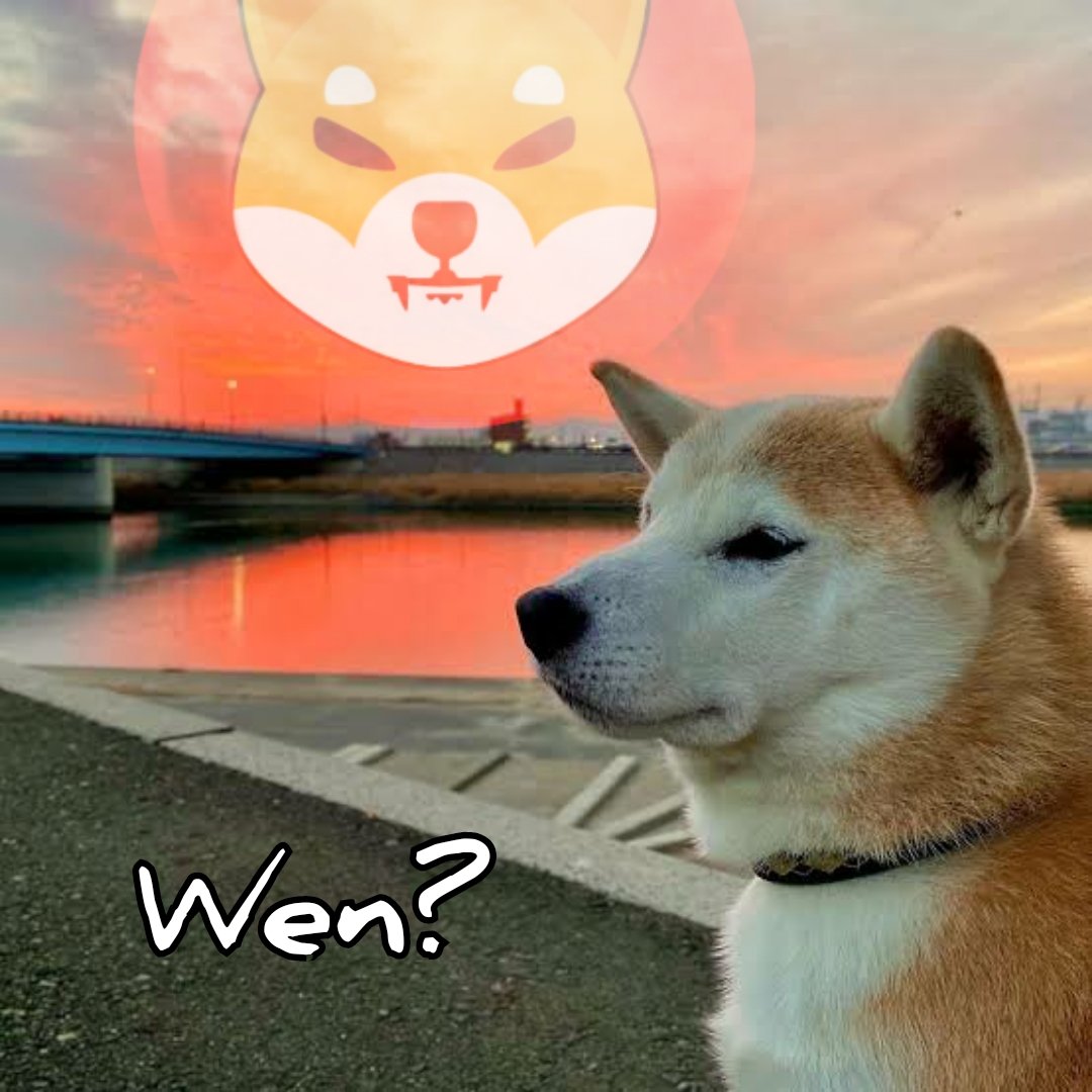 kuro_9696_9696's tweet photo. @cheggy19 @Shibtoken @bitbank_inc @SHIBjpn @Blue_escape77 @SeYXDwfD95uuFbj 日本のSHIBARMYはSHIBの日本上場を待ち望んでいます。🐶🇯🇵
$SHIB #SHIB #SHIBARMY #ShibArmyJapan https://t.co/RgK2APP4DV