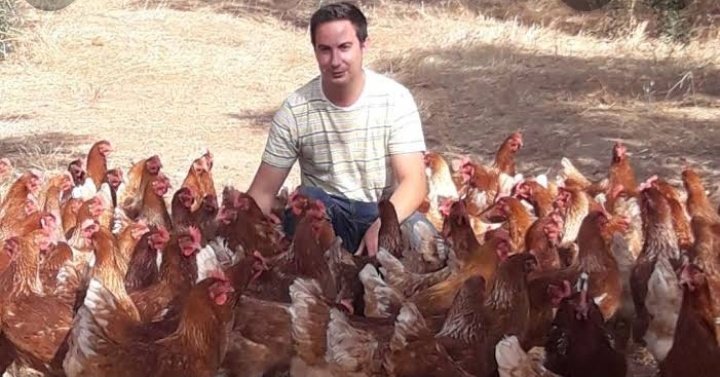 _sandraagd's tweet photo. Nelson en su casa después de que todo Mx y Guate le quieren regalar una gallina jajaja
@SoyNelsonC

NELSON DEVORASTE https://t.co/kHGgDhGhwZ