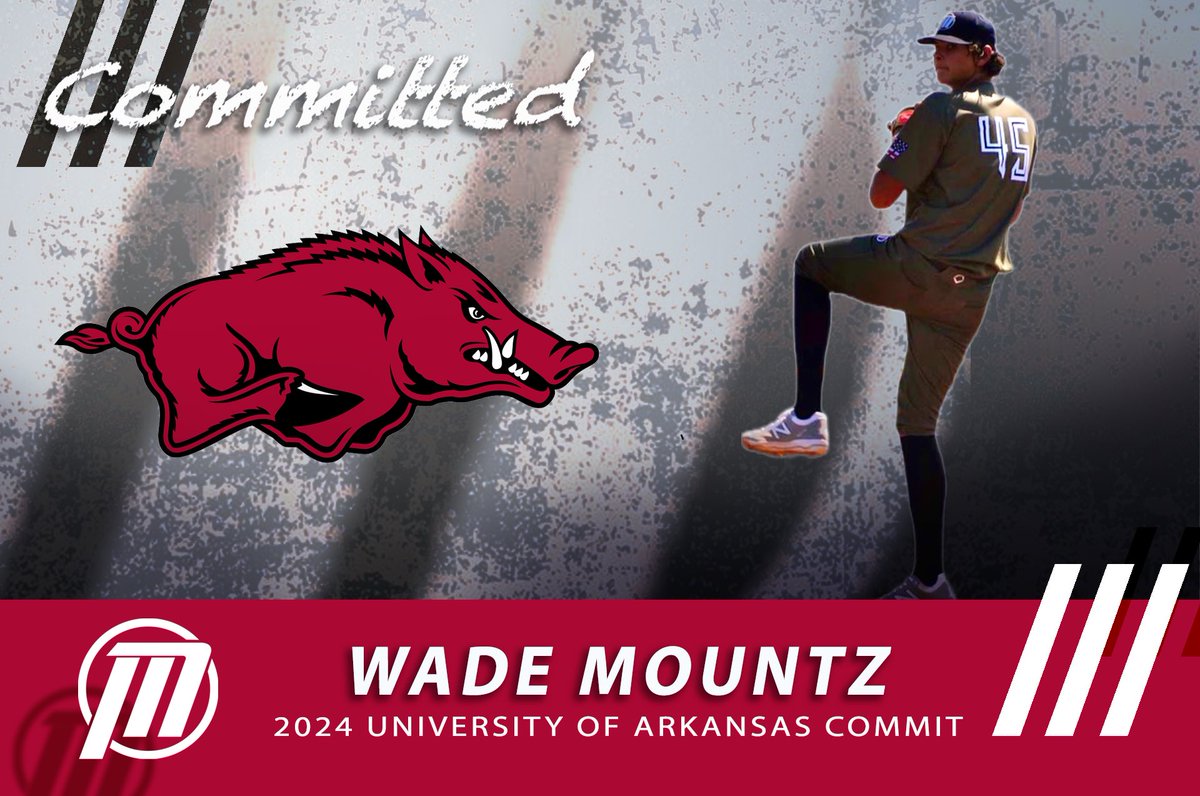 Alpha Baseball tweet media