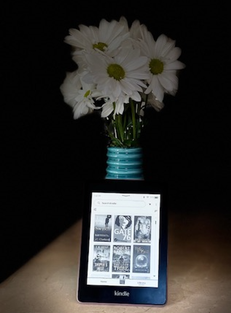 BookSliced's tweet image. How to View Page Numbers on Your #Kindle - justkindlebooks.com/article_jkb/ho… #pagenumbers