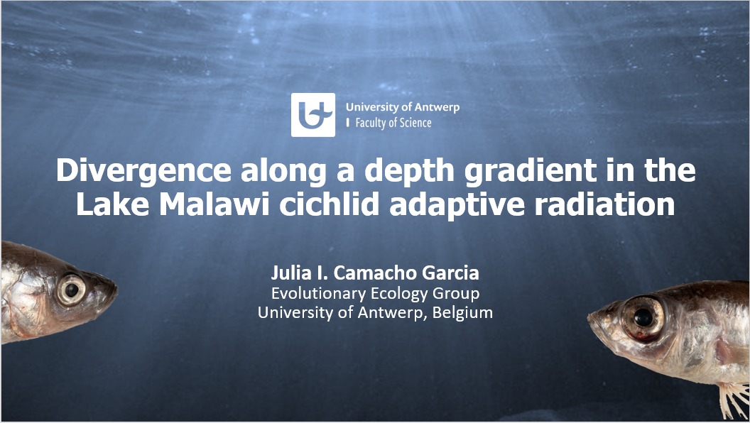 Hannes Svardal (@hannessvardal) on Twitter photo #ESEB2022 presentation by Julia Camacho on deep water adataptation in Malawi cichlids was moved to today Tuesday 12.30 Panorama hall. Not in the program, so <a href="/eseb_org/">ESEB</a> and delegates please retweat. Thanks! #ESEB2022 presentation by Julia Camacho on deep water adataptation in Malawi cichlids was moved to today Tuesday 12.30 Panorama hall. Not in the program, so <a href="/eseb_org/">ESEB</a> and delegates please retweat. Thanks!