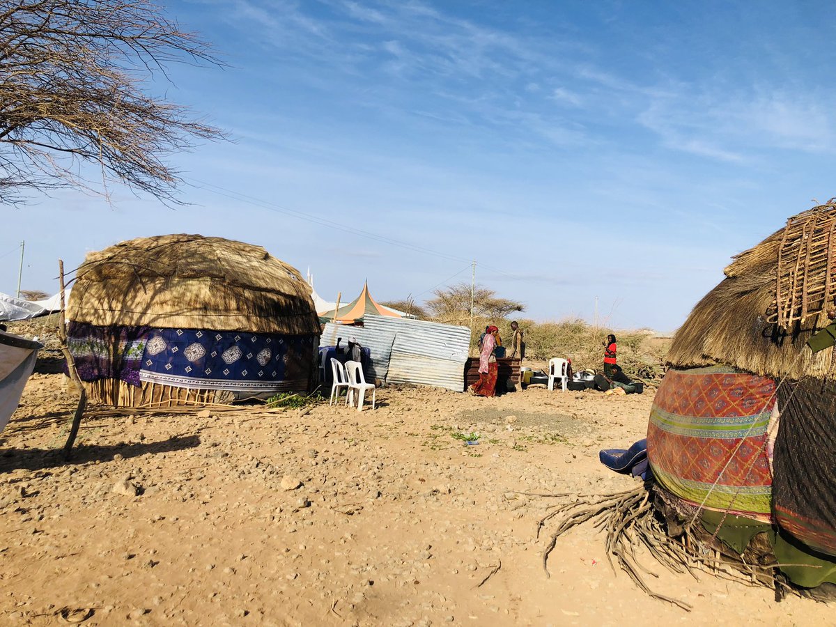 ssbo's tweet photo. Traditional Gabra wedding day for my brother. They use the lunar calendar to pick the wedding day. Dowry = 3 camels 🐪 they tie the leg of the selected camels so that they are taken to the girls family later on in the day. https://t.co/NFGXqUhXeI
