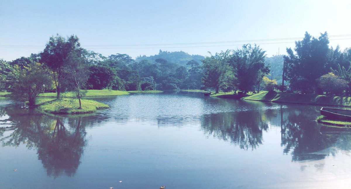 BeautyOfUganda's tweet photo. Forest Resort Kasenge- Mbalala Mukono District #Uganda

#BeautiesOfUganda❤️
#VisitUganda
#TulambuleUganda

📸 @Vumbula_Uganda https://t.co/86cO7YMLHV