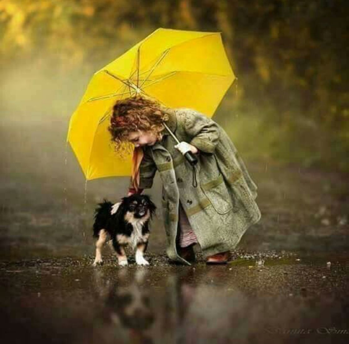 tanosiisupi_bot's tweet photo. Earth is #planet_of_love.
地球は #愛の星 です。
#tenderness #優しさ
RP @animalesypers69 https://t.co/PKmW0zjfPJ