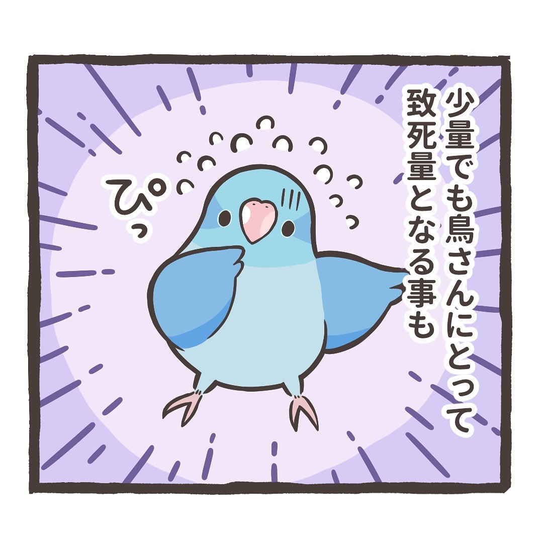 トリ扱い説明書をインスタにアップしました⤴️

鳥さんに与えてはダメな食べ物って?😮🦜
↓
https://t.co/GswcTH53Jw 