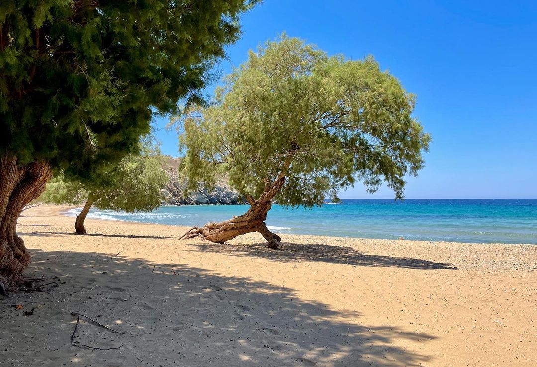 VisitPatmos's tweet photo. Psili Ammos #beach on #Patmos will captivate you with its unique landscape and crystal-clear waters!

https://t.co/kDAmuBpPqH

📷: Griekenlandnet (https://t.co/J6FMaWILHn)

#visitpatmosisland #visitpatmos #visitgreece #greece #Monastery #villages #hiking #Πάτμος #PsiliAmmos https://t.co/Yh96t9Hi6v