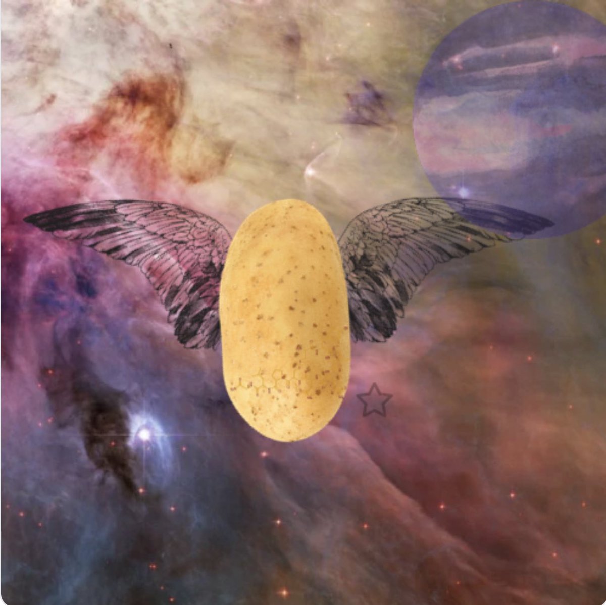 PhantatumNFT's tweet photo. @Wandler14 NEW BATCH OF #PhantatumNFT dropped in the #Phantatum #NFTCollection. 

Come get one of these 🔥🔥🔥 #potatoes before it’s too late! They’re #new and #low, but it’s not going to last long. 

#wearenotstopping 🚀💫 #POTATO https://t.co/A9rdD5slbN
